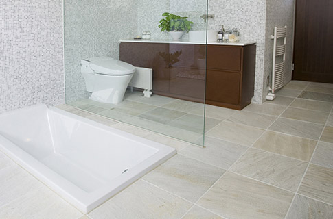 Disability Adapted Bathrooms Taunton